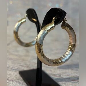 Elegant Gold and Silver Hoop Earrings